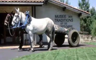 Musée des traditions