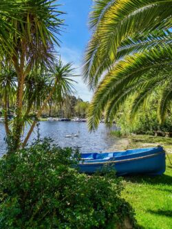 Idyllic setting in Biscarrosse