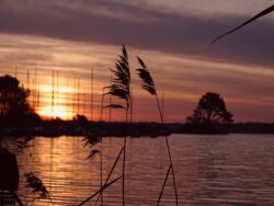 Romantic sunset
