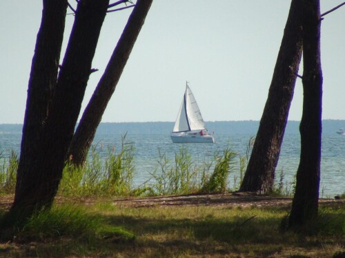 Petites plages à proximité de l’hôtel Petites plages à proximité de l’hôtel